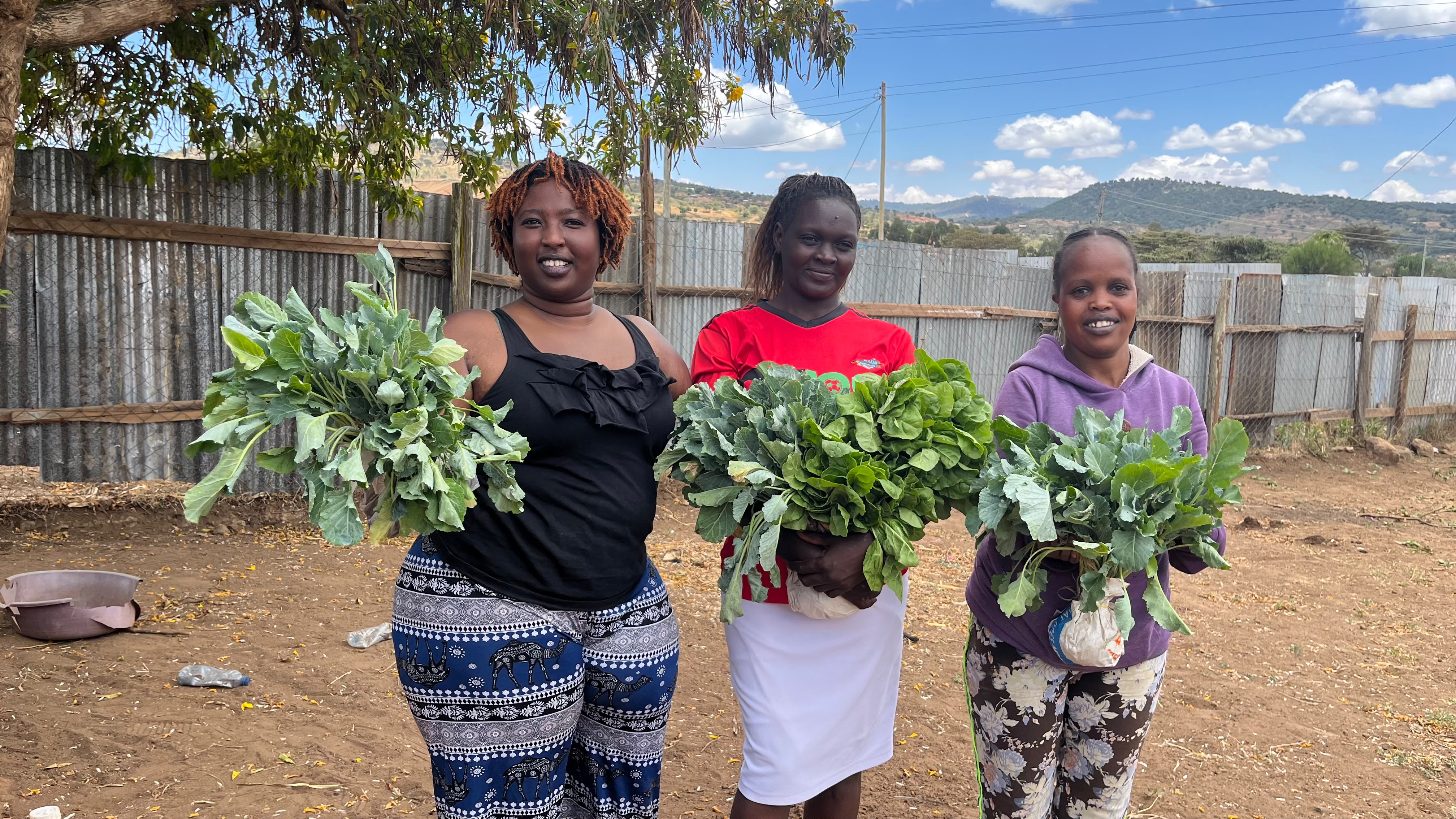 Climate Resilience & Economic Empowerment